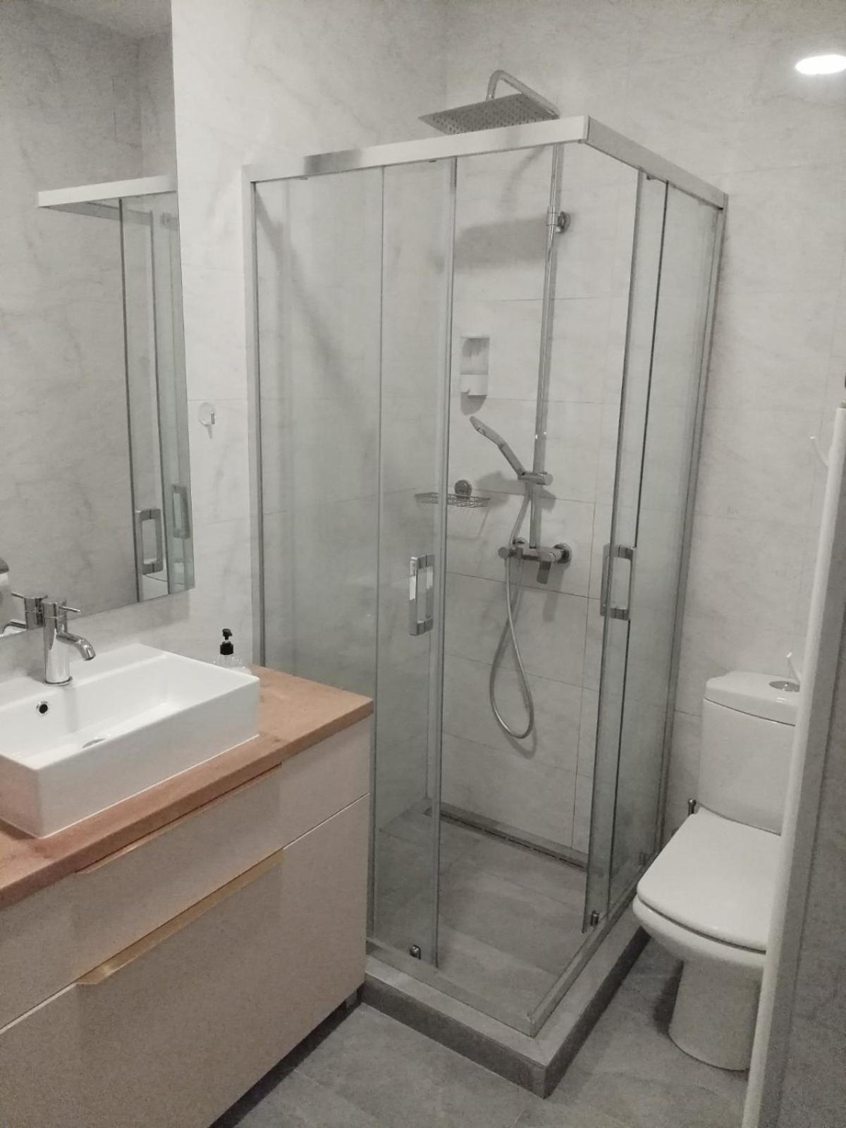Apartment Centrum - Free Private Parking Нови Сад Екстериор снимка